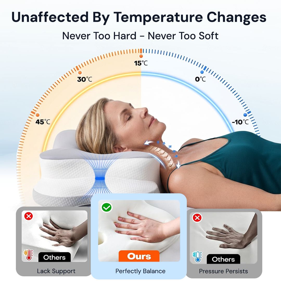 Premium Ergonomic Support Neck Pillow
