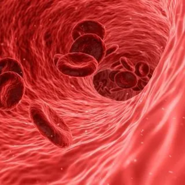 Boost Healthy Circulation